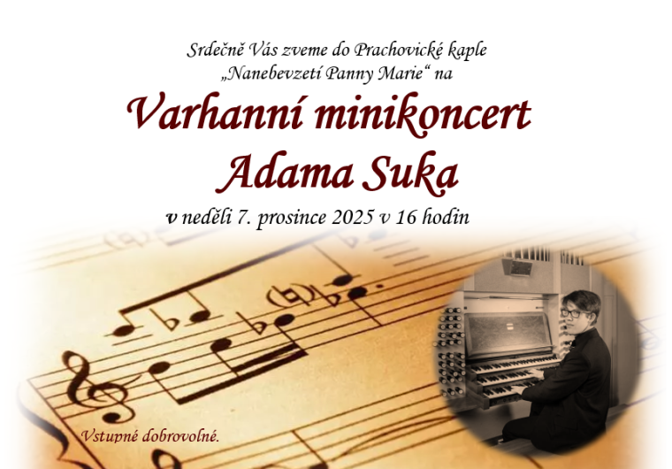 Varhaní minikoncern